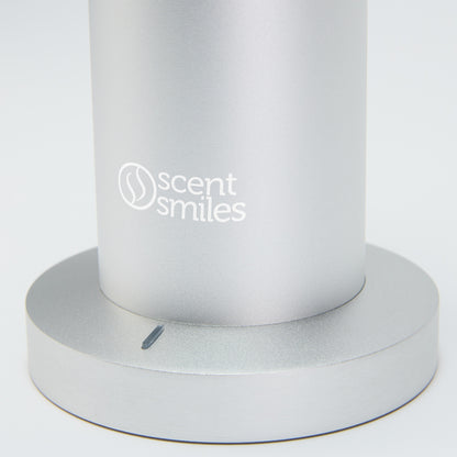 Autoluxe Tower Diffuser in Silver